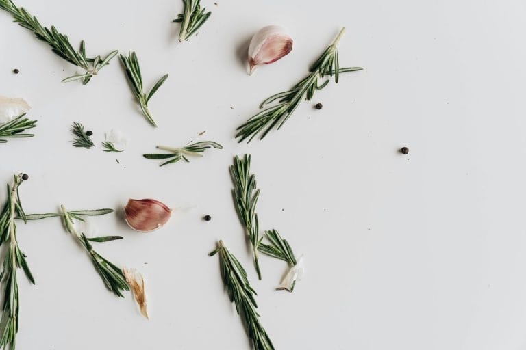 Les meilleures méthodes pour conserver le thym frais : astuces et conseils pour une herbe aromatique toujours savoureuse